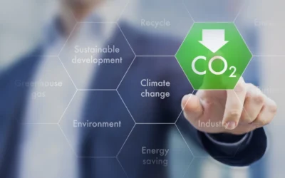 Ondernemers kunnen CO2-uitstoot fors verlagen door samen te werken